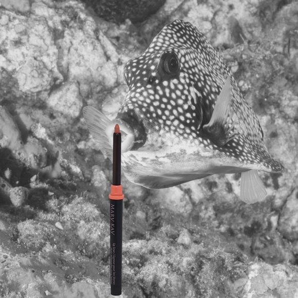 Coral Lip Liner - Mary Kay - Recently Discontinued - Picture 6 of 6